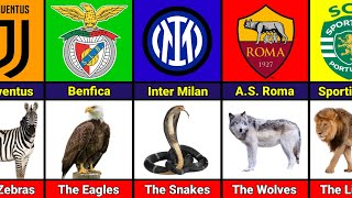 Football Clubs With Animal Nicknames