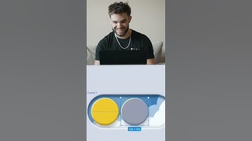 Designer VS Developer