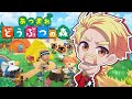 いきなり どうぶつの森 いきなり どうぶつの森
