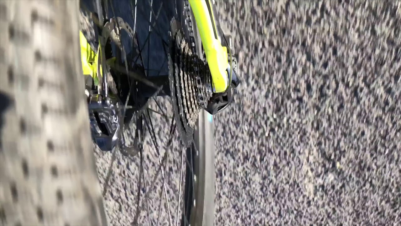 自転車 後輪 空回し 異音