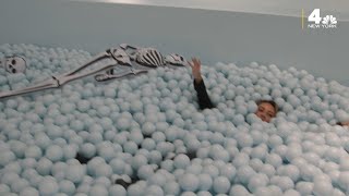 Fall things to do: ‘Haunted Hues’ at the Color Factory NYC