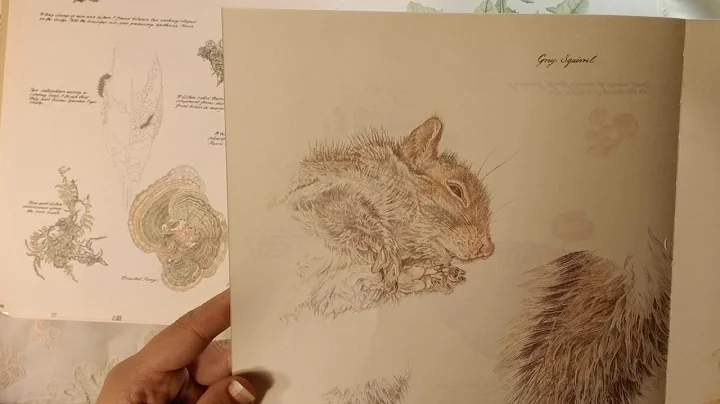 Janet Marsh's Nature Diary Share