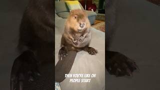 Exotic Pet TikTok is Evil - Post Unavailable