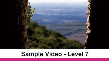 Literature Level 7:  Analyzing Literature Video Sample by Matthew Stephens