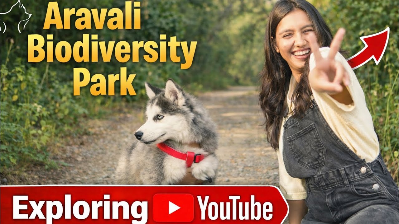 Aravali Biodiversity Park || Gurgaon 