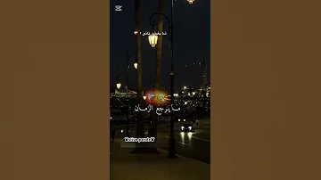 جازو لعوام عاودت في راسها لكلام الشاب مومو 2025 جديد الشاب مومو Stive Parole 