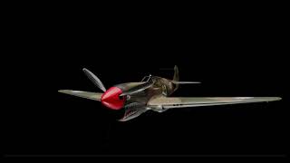 P40 Narration Animation