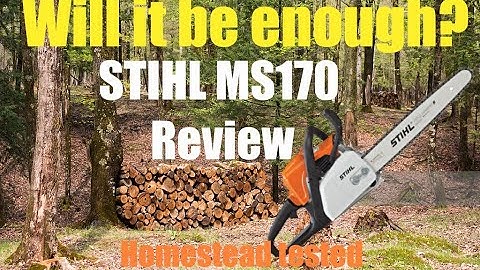 Stihl MS170 review. will it homestead?