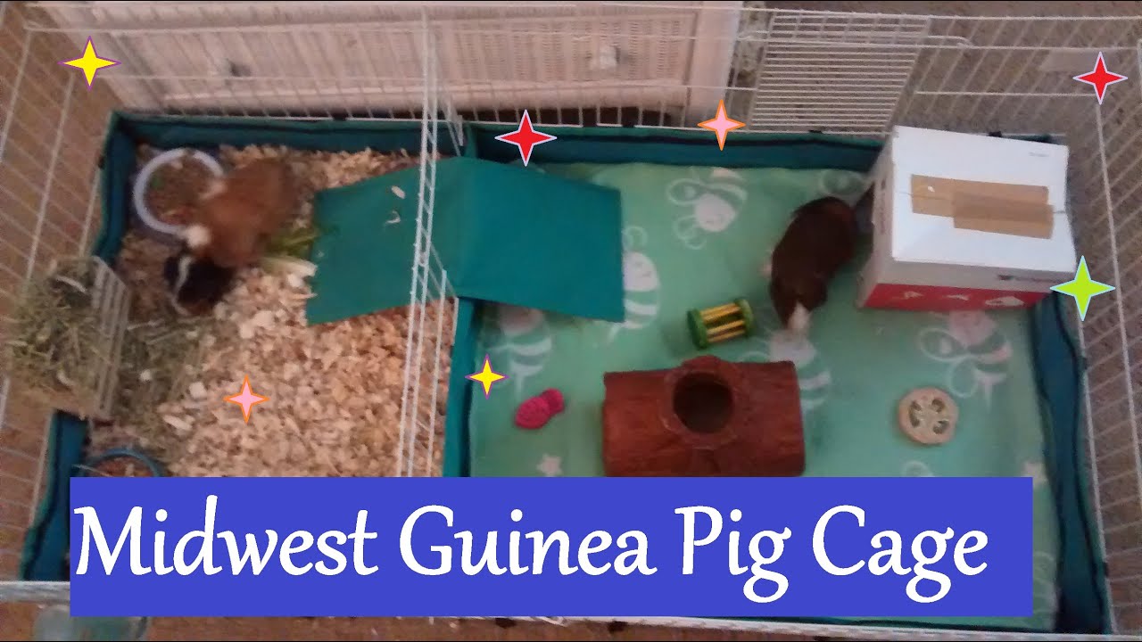 guinea pig fleece cage liner for midwest habitat