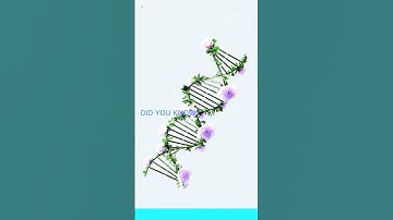 AI Apocalypse? \"Godfather of AI\" Sounds the Alarm! - A ProwessAIStudio Production