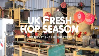 Hukins Hops - Harvest 2025