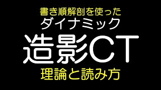 【画像診断の基本】わかりやすい造影CT(ダイナミック)　理論と読み方