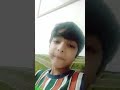 Taqi raza pizza new vlog 