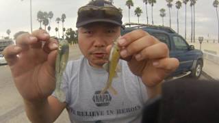 We traveled down to socal pickup a couple fishing setups that my
cousin steveo was passing on me. what better way reconnect with an old
friend the...