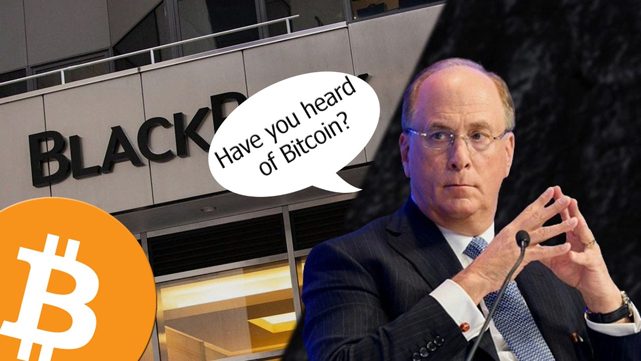 BlackRock Is Telling Everyone About Bitcoin - YouTube