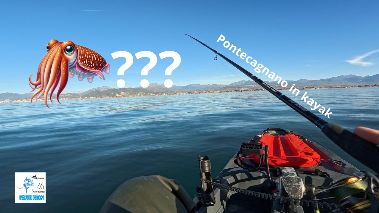 Proviamo il mare di Pontecagnano da kayak: Uno spettacolo, ma le seppie???