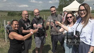 Winemakers in tractors start the Čejkovice Wine Trail