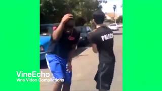 Vine Comp Of The Week Best Vine Compilation 2014 August