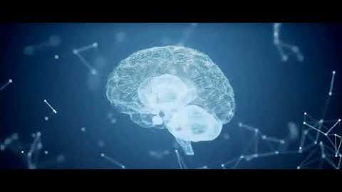 Nineteen 80 Four, A Spotless Lie, OFFICIAL VIDEO