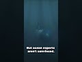 The Most Terrifying Sound Ever Recorded In The Ocean 🌊 #shorts