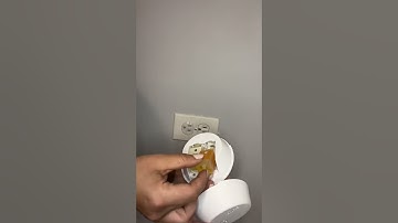 Review and App Demo of the Pura Smart Diffuser