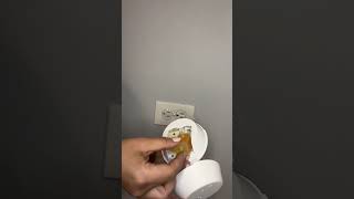 Download Lagu Review and App Demo of the Pura Smart Diffuser MP3