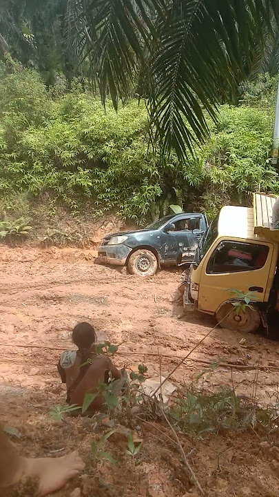 Dua malam nginap dihutan,masih saja dicurigai😭😭 #storywasupir #jalanektreme #storywa