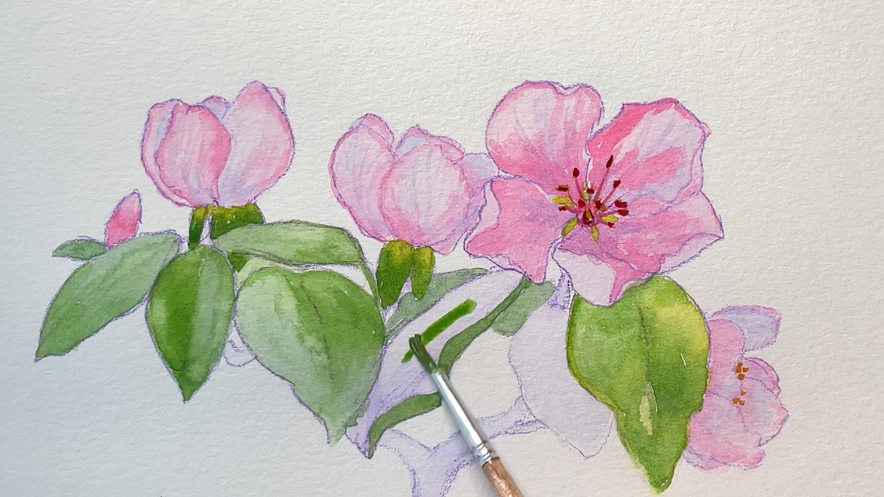Watercolor Flowering Quince