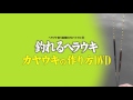 「釣れるヘラウキ カヤウキの作り方DVD」予告