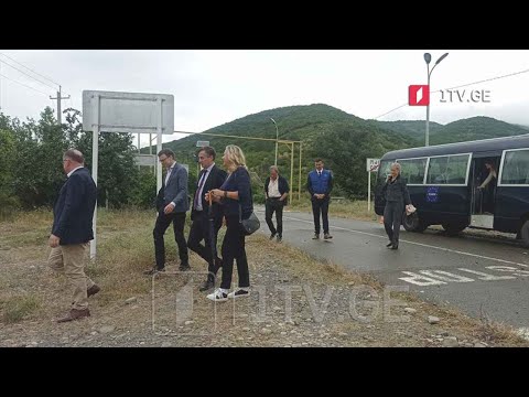 ევროპარლამენტარები საოკუპაციო ხაზთან ვითარებას გაეცნენ