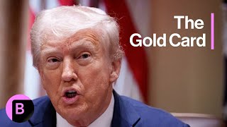 Trump Says Gold Cards Can Be Used for Recruitment