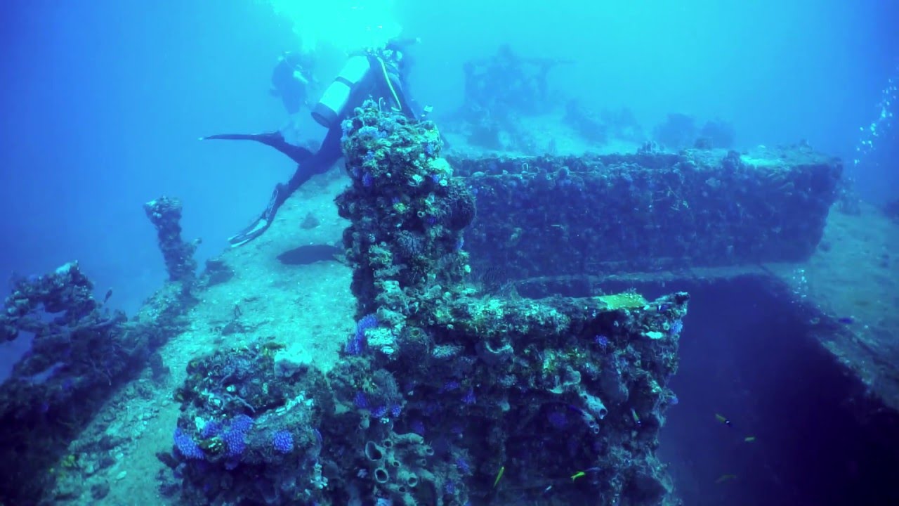 Diving Fort Lauderdale 3/26/2016 YouTube