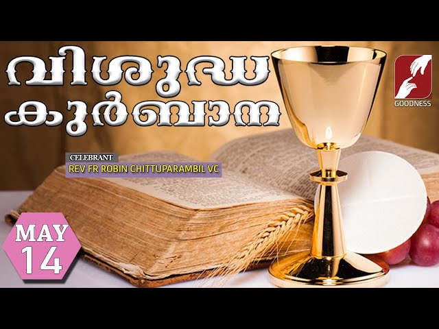 HOLY MASS LIVE @6 AM,14 MAY 2024|FR ROBIN CHITTUPARAMBIL VC|MALAYALAM QURBANA|TODAY MASS|GOODNESS TV class=