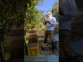 巣箱を足す作業を初挑戦。😊　養蜂生活１年目 （自給自足）