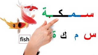 تعليم قراءة كلمات | اسماء اشياء حروف اللغة العربية