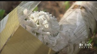 Activists Call For Independent Investigation Into Death Of Mikayla Miller