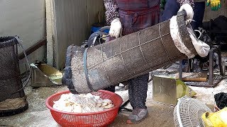 Amazing Popcorn Cannon Machine / Explosive Korean Traditional Popcorn