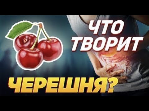 Что творит ЧЕРЕШНЯ с организмом? Почему нельзя выбрасывать косточки и хвостики черешни?