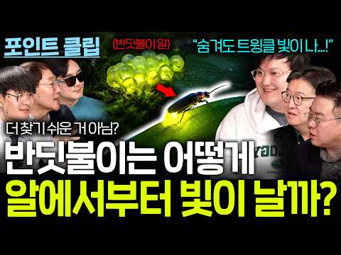 ??: 반딧불이씨는 언제부터 빛이 났나? 태어날 때부터?