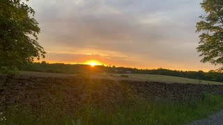 Summer is moving in | PhotoLink Library