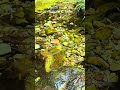 If You Feel Stress, Watch This
