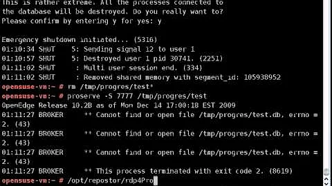 rdp4Progress-restore.avi