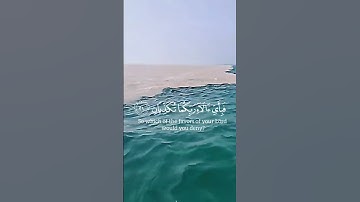 بسم الله ماشاء الله صوت وتلاوه جميله ماشاء الله