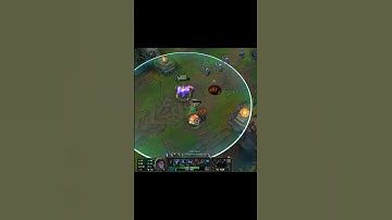 How to Use Zoe
