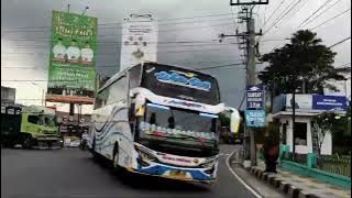 Story'wa Bus Pahala Kencana WHITE BULL