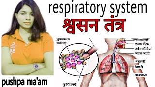 श्वसन तंत्र Respiratory System Part-1