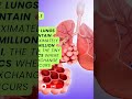 Crazy Facts About Your Body We Bet You Didn’t Know | 17 Lungs | #shorts #crazyfacts #facts