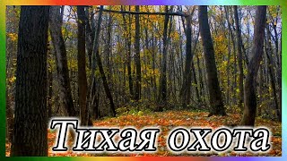 ТИХАЯ ОХОТА  Модульное слайд-шоу