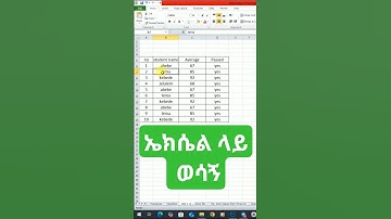 How to insert rows #amharic #microsoftexcel