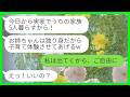 【LINE】私と母に相談なく勝手に一家5人で実家に引っ越してきた妹「今日からよろしくねお姉ちゃん！」私「私は出てくからご自由にw」→家のもの全撤去して出ていった結果www
